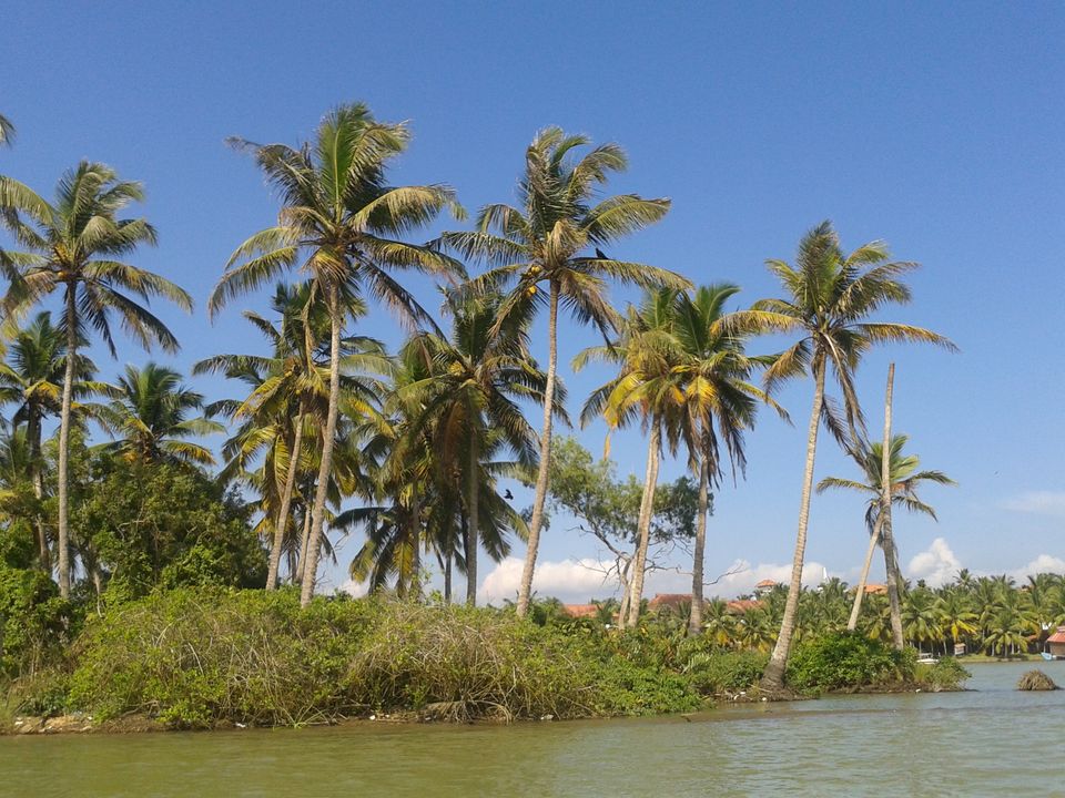 Photo of Land of Creators - SOUTH KERALA by Naman Goyal