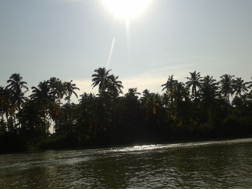 Photo of Land of Creators - SOUTH KERALA by Naman Goyal