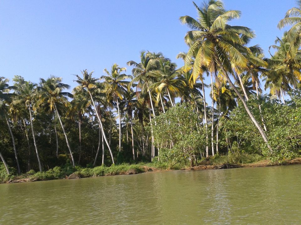 Photo of Land of Creators - SOUTH KERALA by Naman Goyal