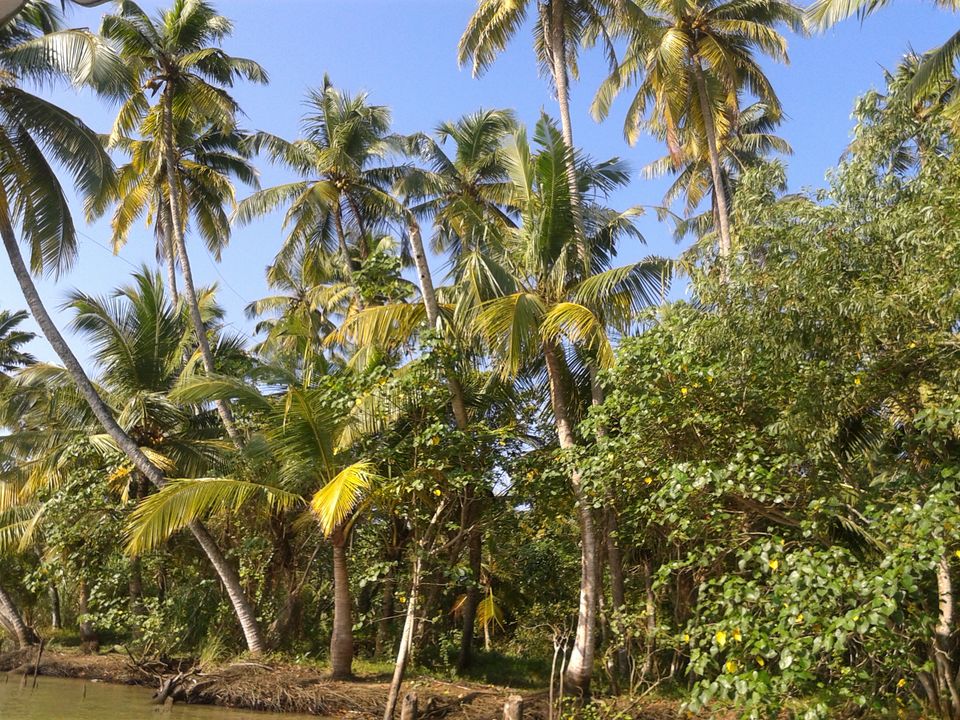 Photo of Land of Creators - SOUTH KERALA by Naman Goyal