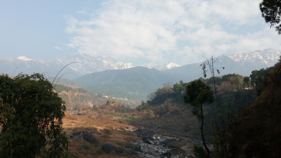 Photo of Solo travel to Palampur: An unexpected journey of twists and turns! 4/4 by PURVI YADAV