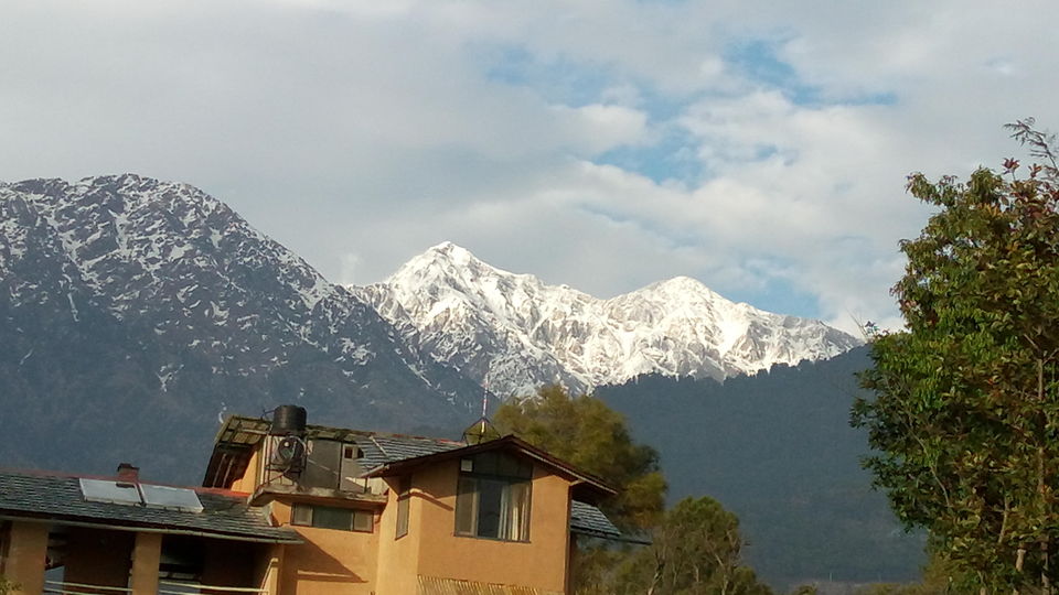 Photo of Kandbari: A magical place in the heart of Palampur 3/38 by PURVI YADAV
