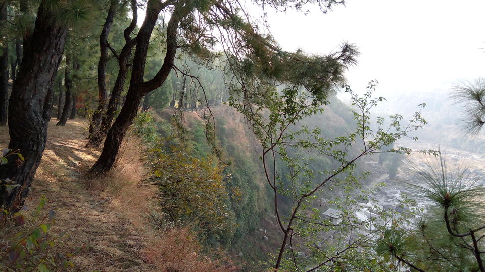 Photo of Kandbari: A magical place in the heart of Palampur 11/38 by PURVI YADAV