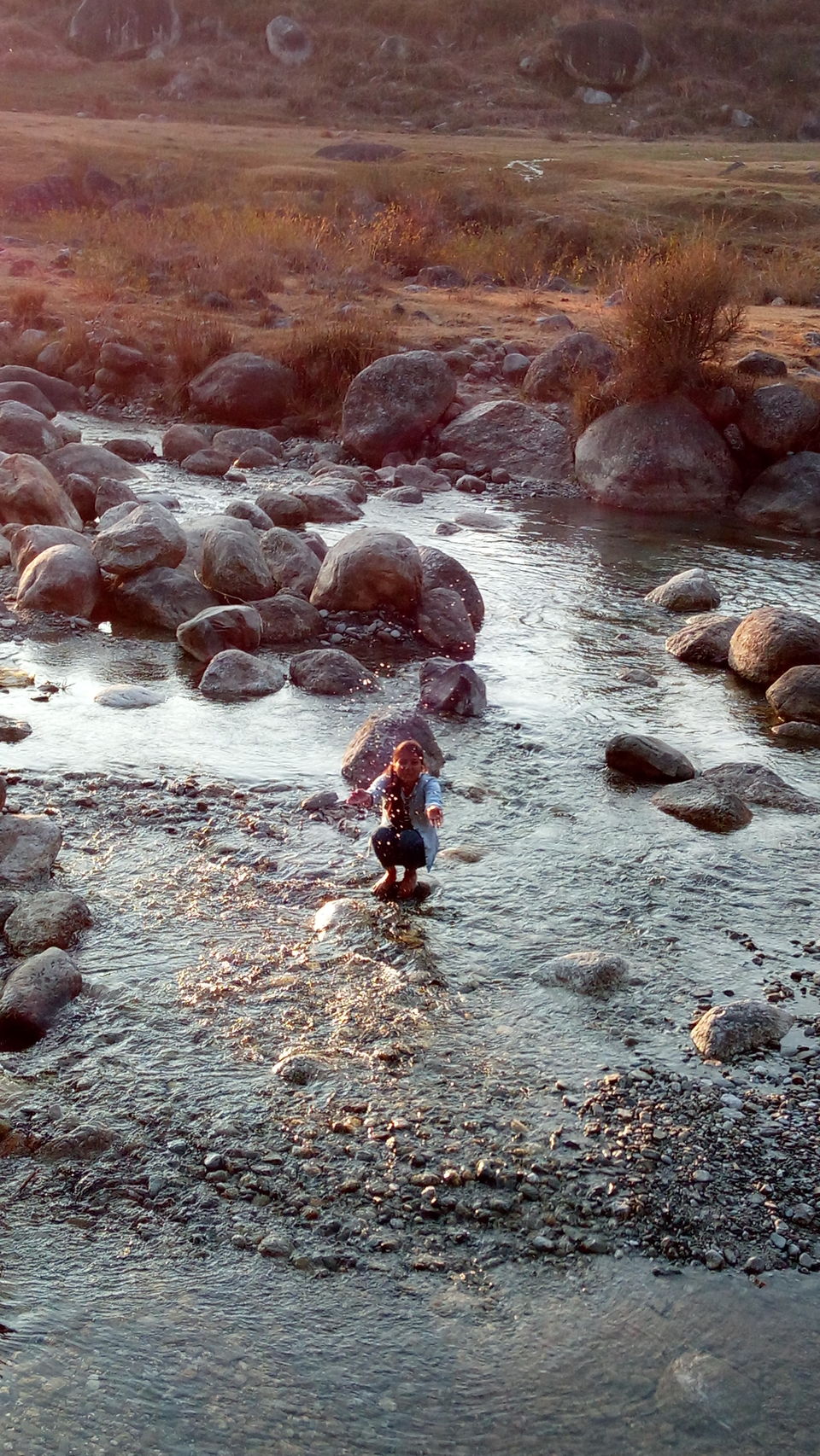Photo of Kandbari: A magical place in the heart of Palampur 13/38 by PURVI YADAV