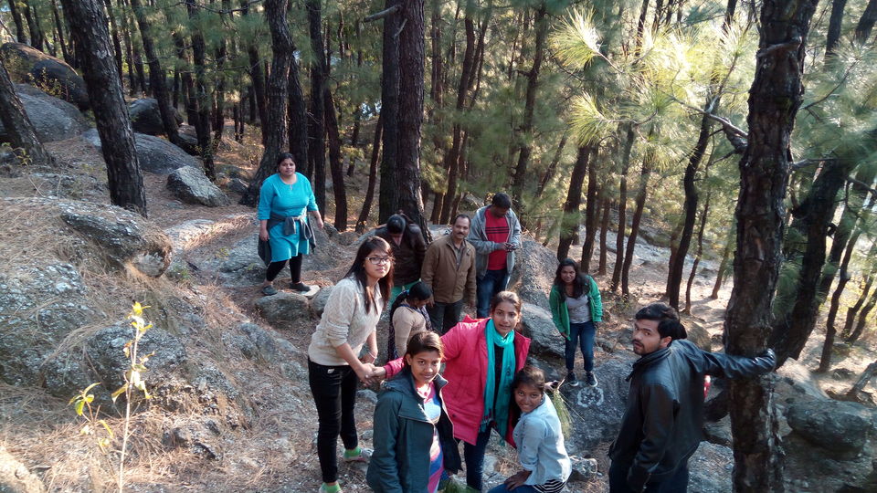 Photo of Kandbari: A magical place in the heart of Palampur 14/38 by PURVI YADAV
