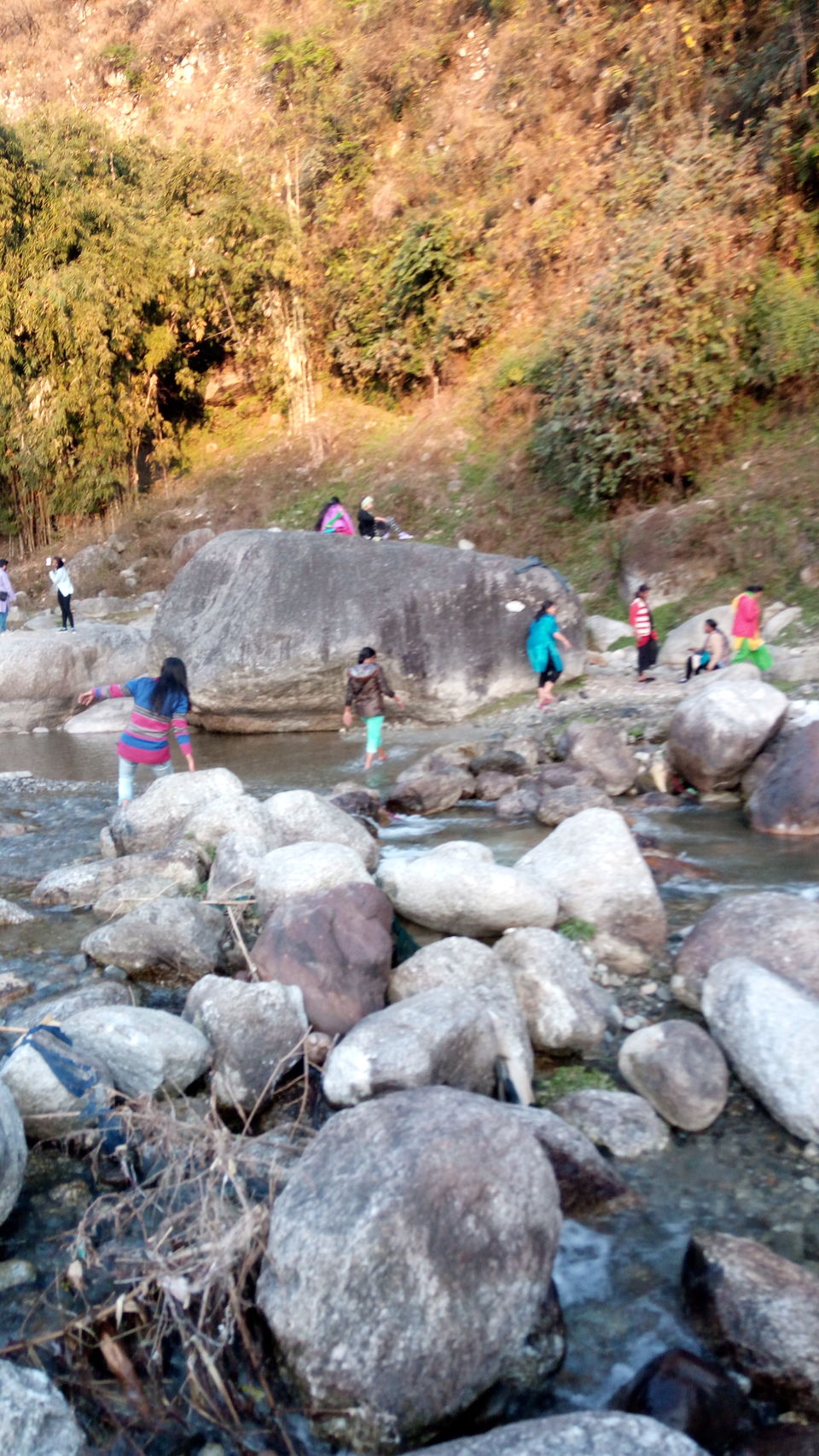Photo of Kandbari: A magical place in the heart of Palampur 20/38 by PURVI YADAV