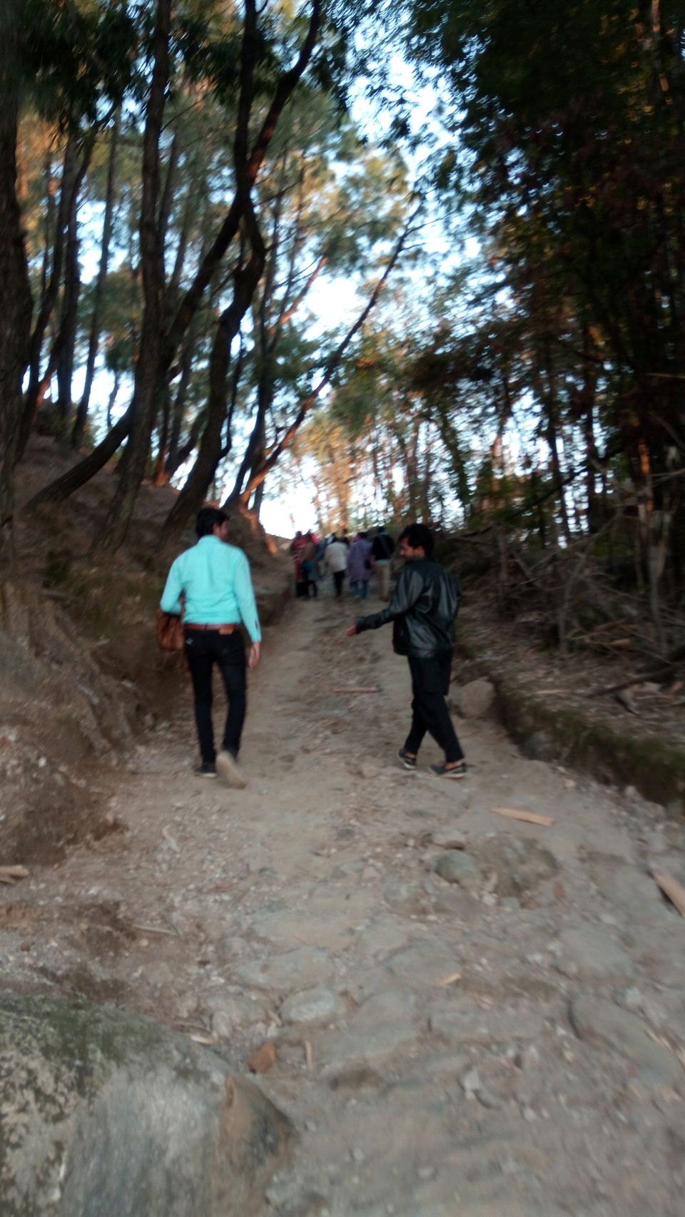 Photo of Kandbari: A magical place in the heart of Palampur 17/38 by PURVI YADAV
