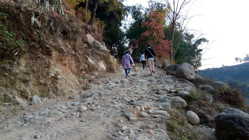 Photo of Kandbari: A magical place in the heart of Palampur 18/38 by PURVI YADAV
