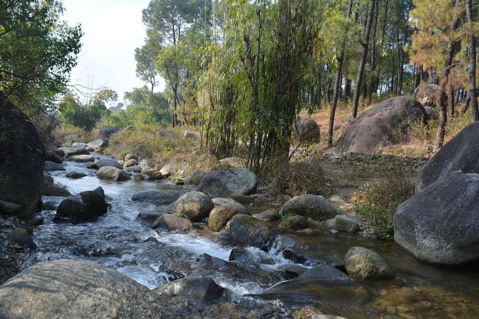 Photo of Kandbari: A magical place in the heart of Palampur 10/38 by PURVI YADAV