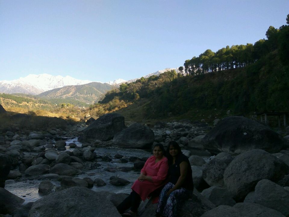 Photo of Kandbari: A magical place in the heart of Palampur 21/38 by PURVI YADAV