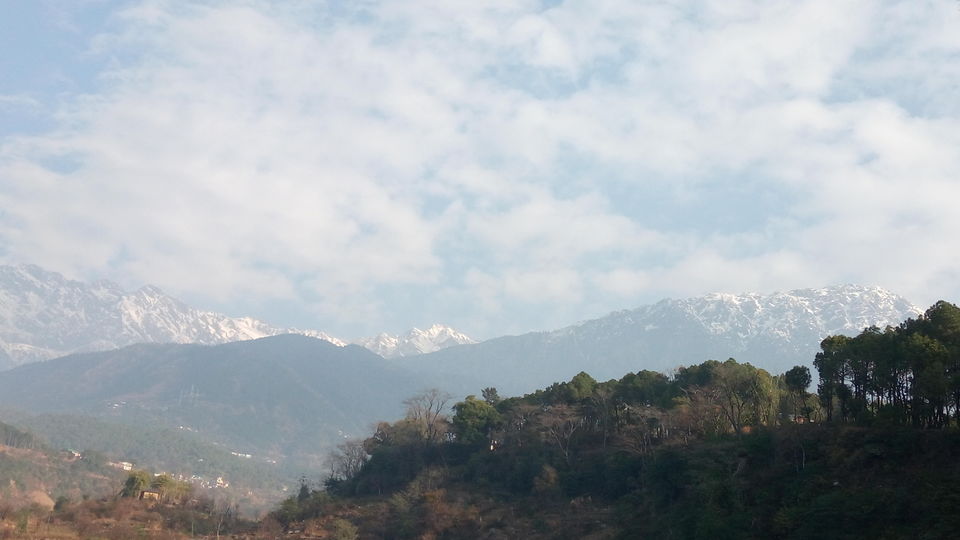 Photo of Kandbari: A magical place in the heart of Palampur 36/38 by PURVI YADAV
