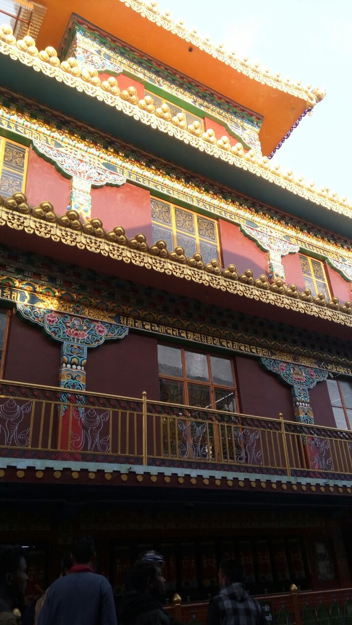 Photo of An unplanned and quick trip to Mcleodganj 7/20 by PURVI YADAV