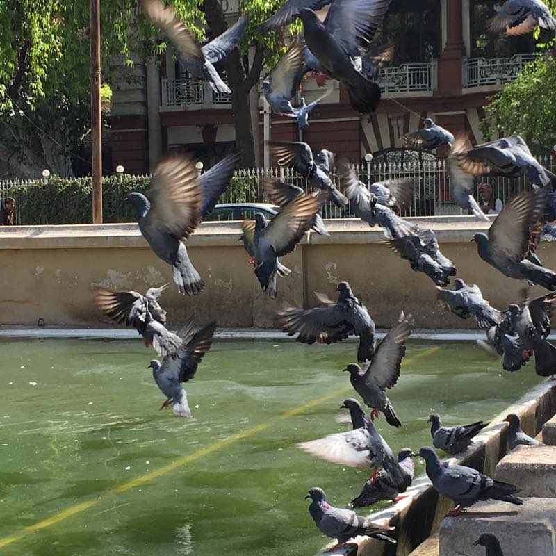 Photo of When i visited the place i was born in: Ahmedabad you totally mesmerized me :-) 37/46 by PURVI YADAV