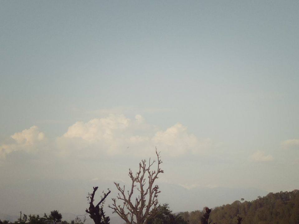 Photo of Naushera: Beautiful town, heavily guarded, historically significant yet hidden :-) 5/12 by PURVI YADAV
