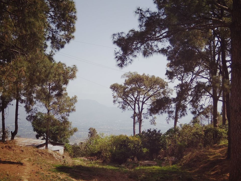 Photo of Naushera: Beautiful town, heavily guarded, historically significant yet hidden :-) 12/12 by PURVI YADAV
