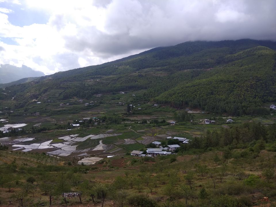 Photo of Majuli- Shillong- Bhutan: 3 girls, 16 days and astounding experience to cherish 17/19 by PURVI YADAV