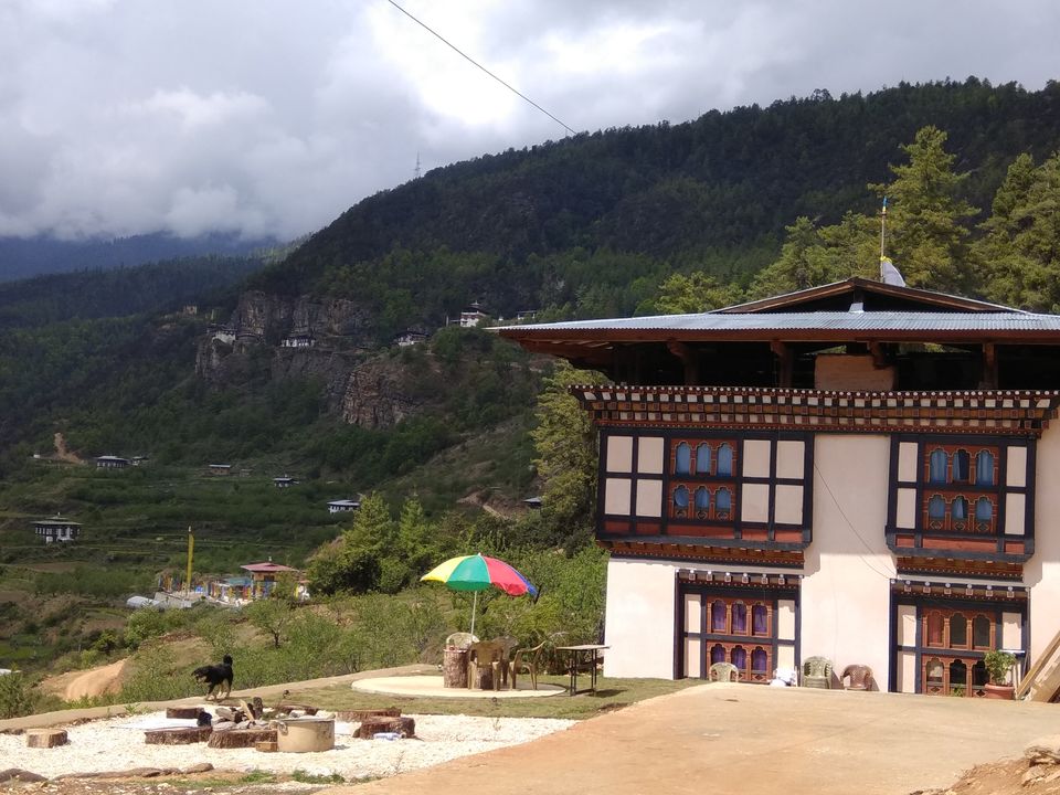 Photo of Majuli- Shillong- Bhutan: 3 girls, 16 days and astounding experience to cherish 18/19 by PURVI YADAV