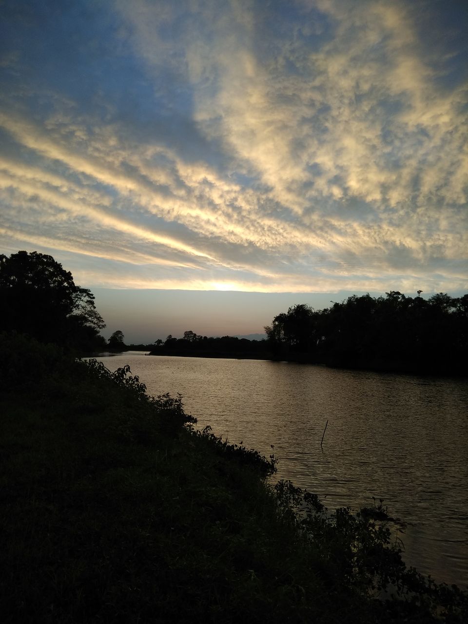 Photo of Nature’s serendipity and magical ‘Majuli’ by PURVI YADAV
