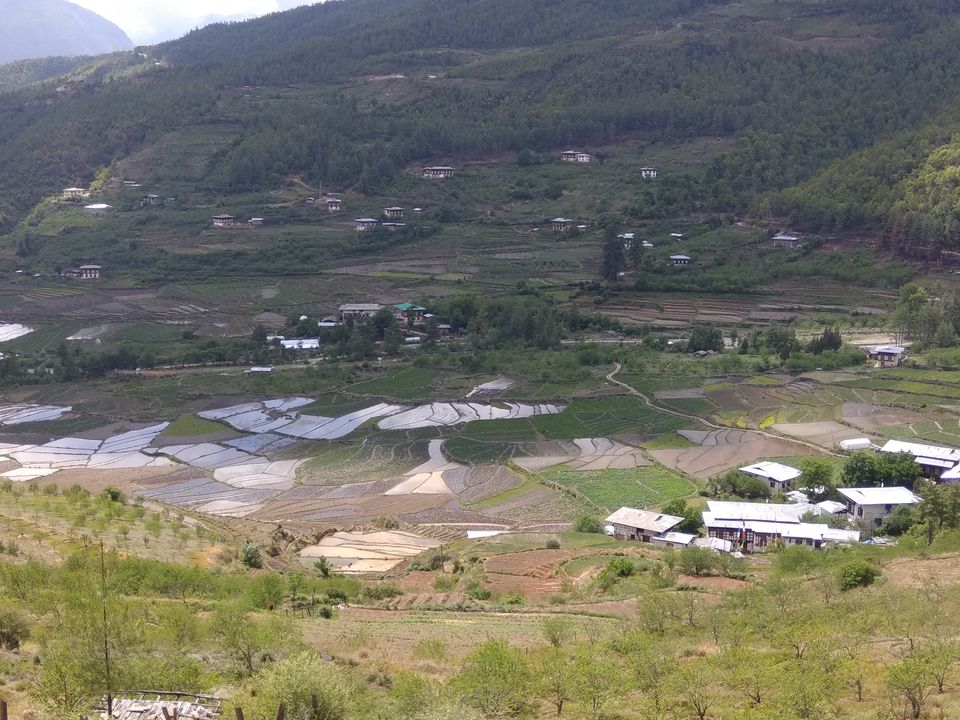 Photo of Experience the authentic Bhutanese culture by staying with the loving family of Nima and Tshering. 6/31 by PURVI YADAV