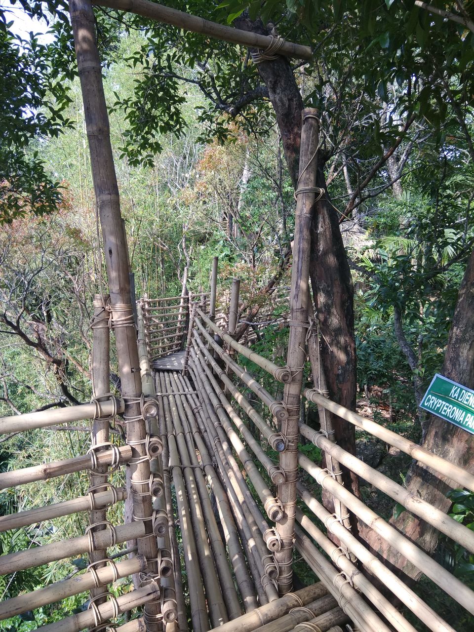 Photo of Discovering Shillong the 'Khasi' way :-) #northeastitinerary 47/64 by PURVI YADAV