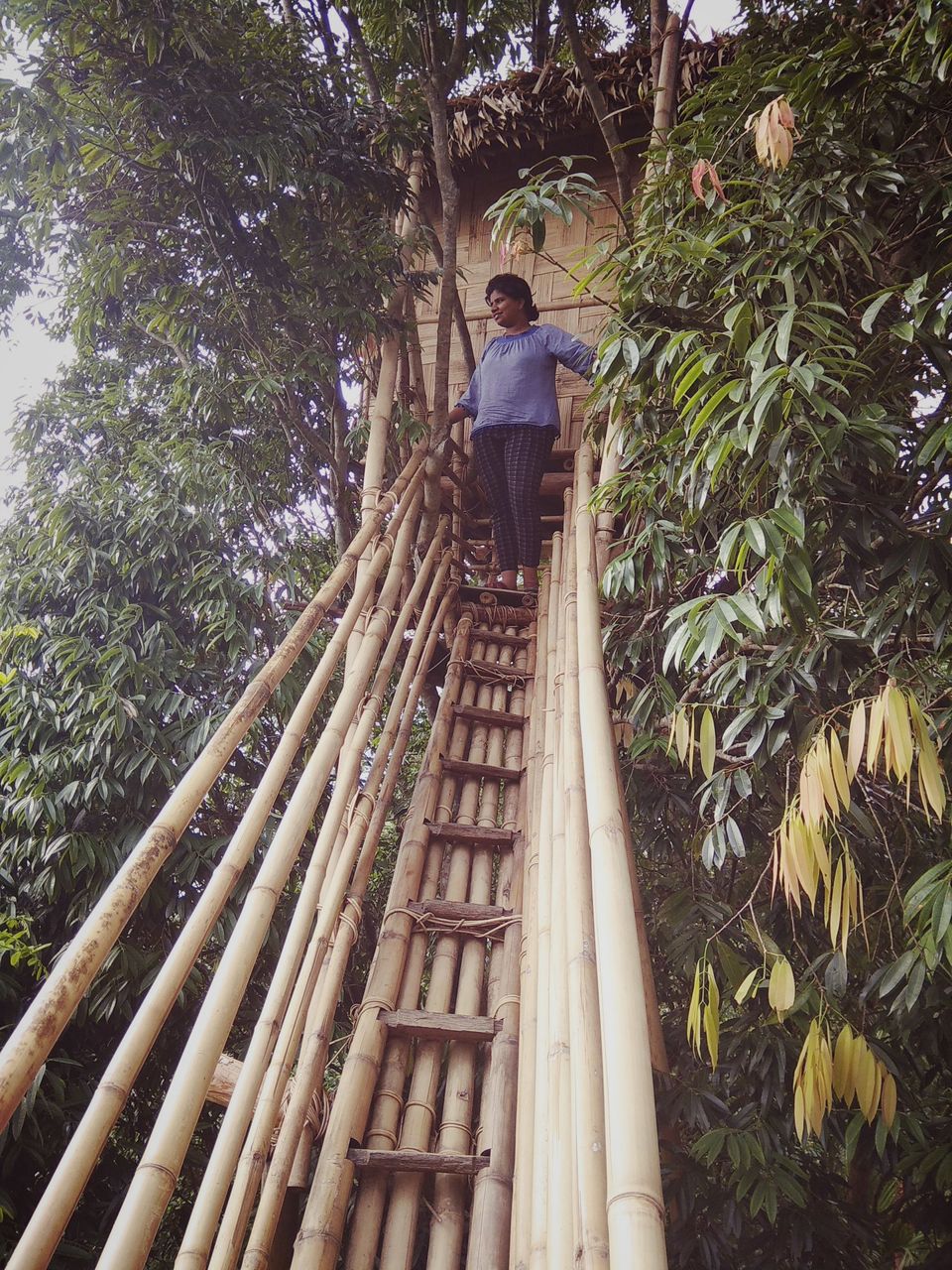 Photo of Discovering Shillong the 'Khasi' way :-) #northeastitinerary 50/64 by PURVI YADAV