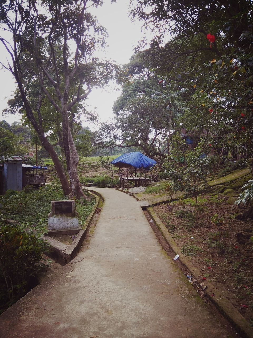 Photo of Discovering Shillong the 'Khasi' way :-) #northeastitinerary 53/64 by PURVI YADAV