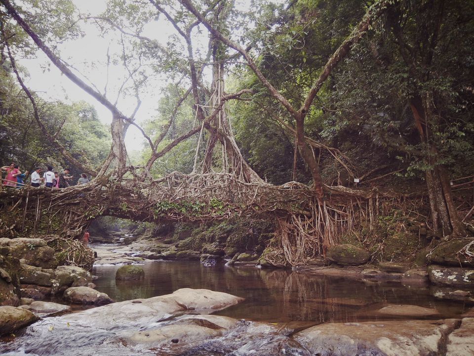 Photo of Discovering Shillong the 'Khasi' way :-) #northeastitinerary 54/64 by PURVI YADAV