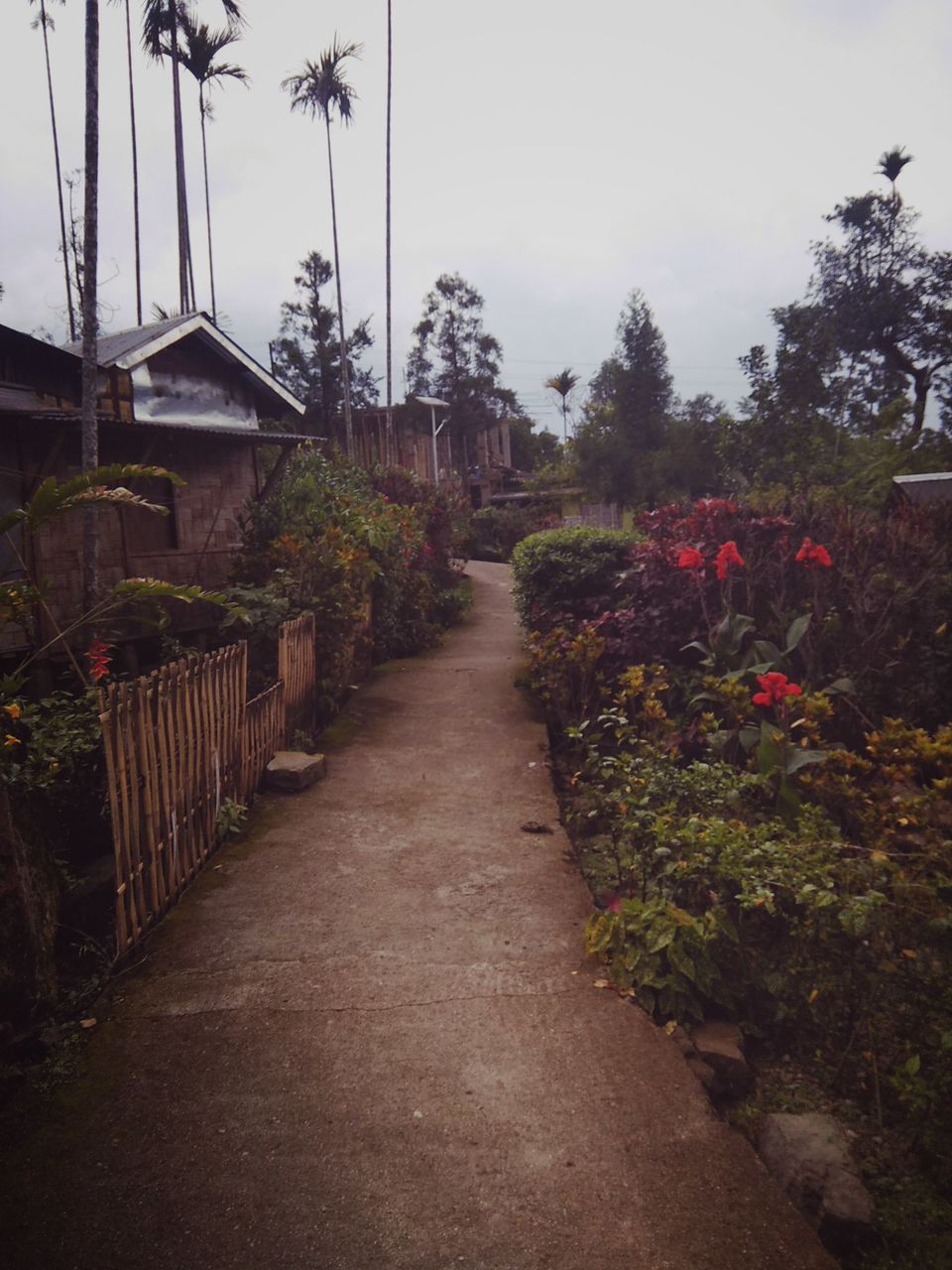 Photo of Discovering Shillong the 'Khasi' way :-) #northeastitinerary 57/64 by PURVI YADAV