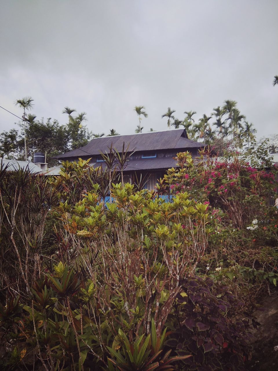 Photo of Discovering Shillong the 'Khasi' way :-) #northeastitinerary 59/64 by PURVI YADAV