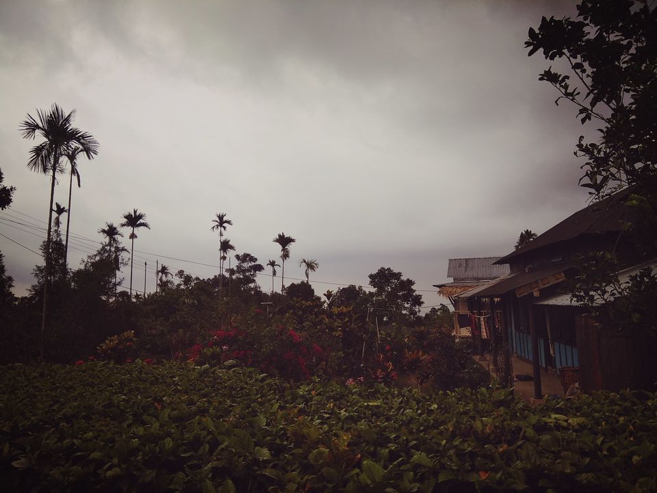 Photo of Discovering Shillong the 'Khasi' way :-) #northeastitinerary 58/64 by PURVI YADAV