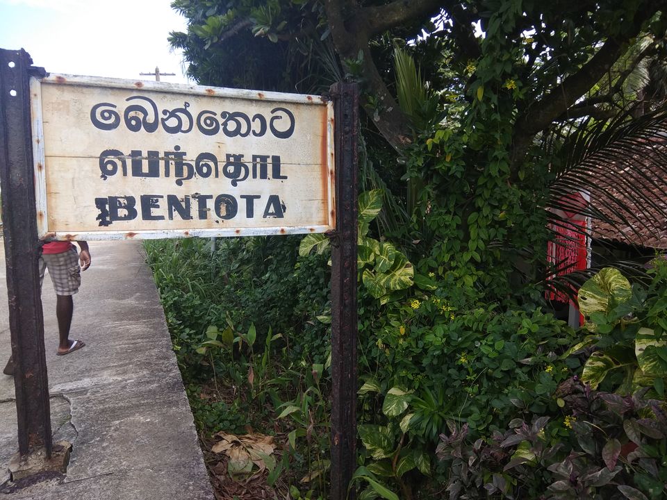 Photo of Columbo- Bentota- Galle- Mirissa: 3 days 9 beaches and surreal tête-à-tête with ocean waves! 5/51 by PURVI YADAV