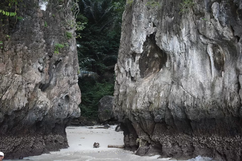 Photo of Monkey Island, Cat Ba, Cát Hải, Hai Phong, Vietnam by PURVI YADAV