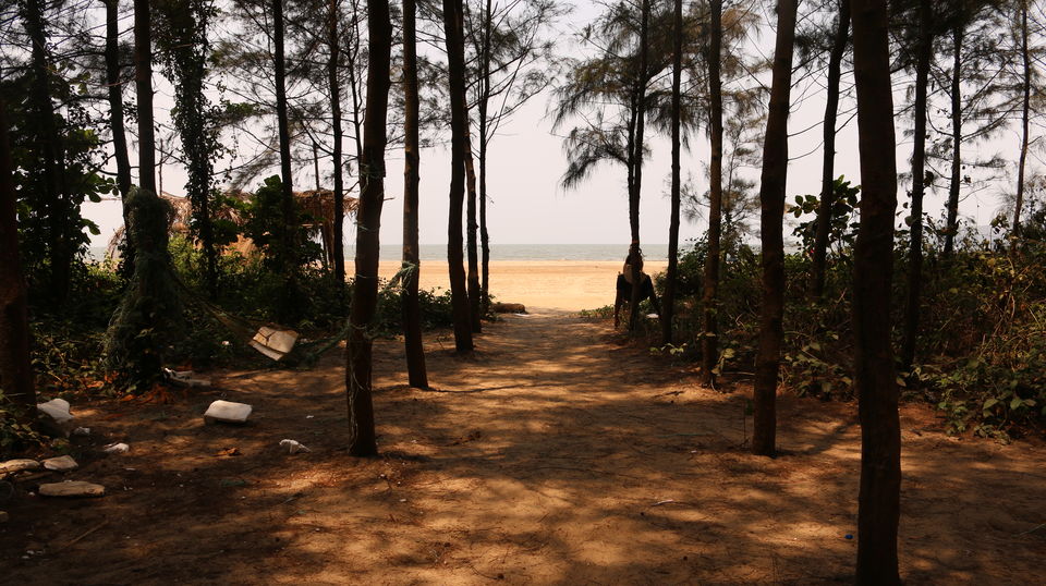 Photo of Panaji in a day 2/6 by Jahnavi Singham