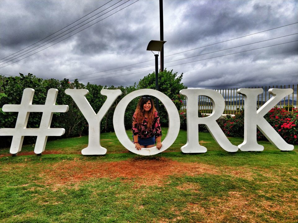 Photo of A day trip to Sula Vineyards by Shruti Jain