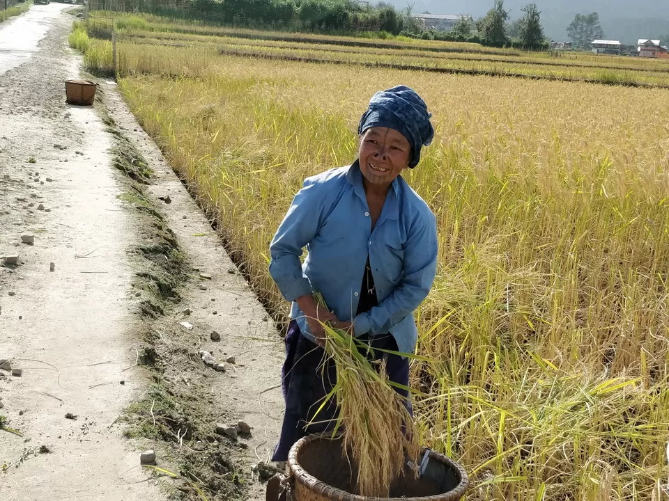 Photo of Ziro by Shruti Jain