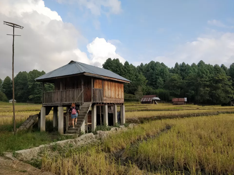 Photo of Ziro by Shruti Jain