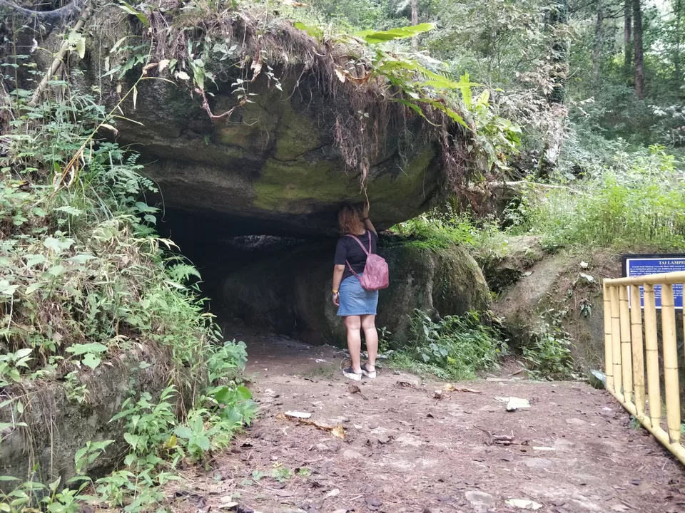 Photo of Ziro by Shruti Jain