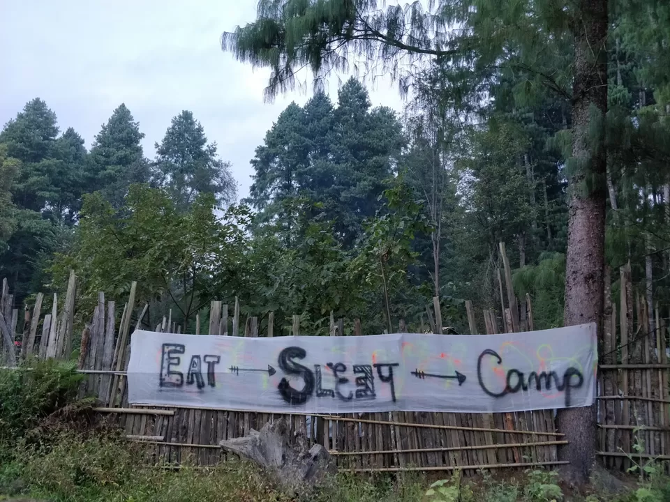 Photo of Ziro by Shruti Jain