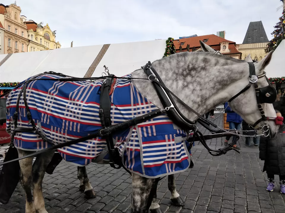 Photo of Prague, Czechia by Shruti Jain