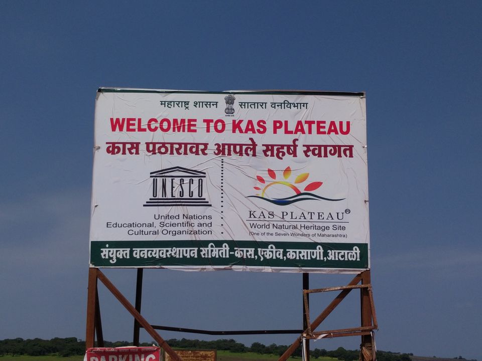 Photo of Weekend escape in Kaas Plateau by Shruti Jain