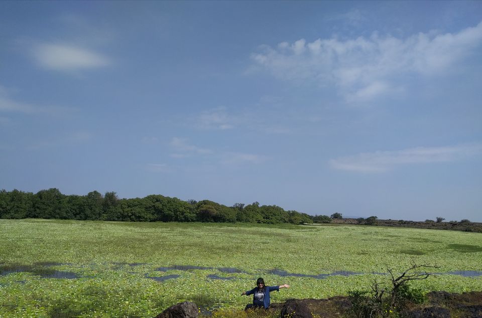 Photo of Weekend escape in Kaas Plateau by Shruti Jain