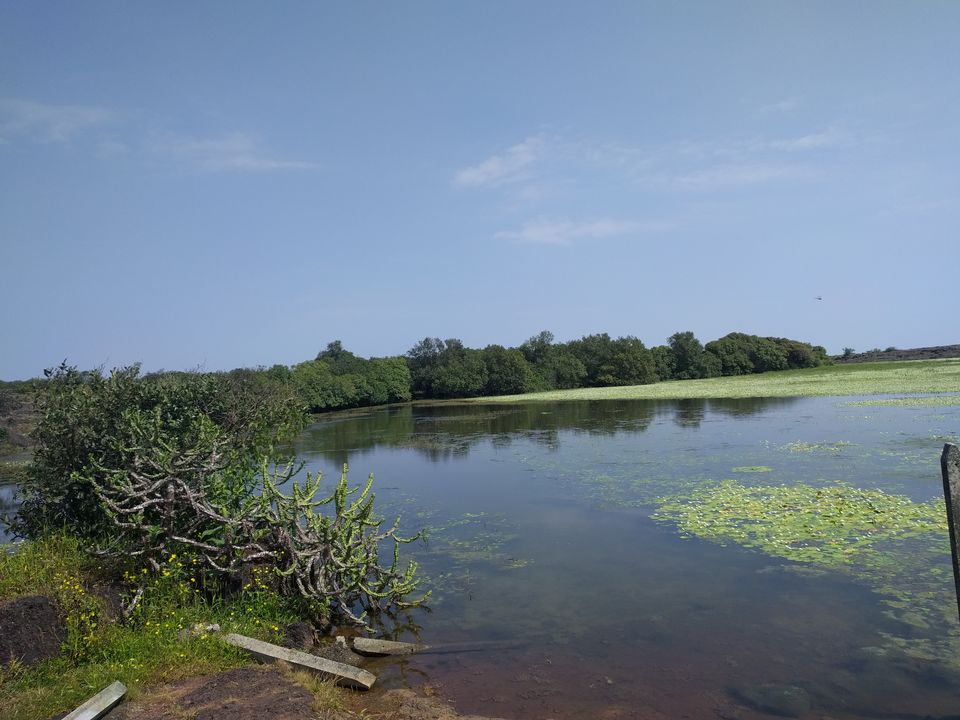 Photo of Weekend escape in Kaas Plateau by Shruti Jain