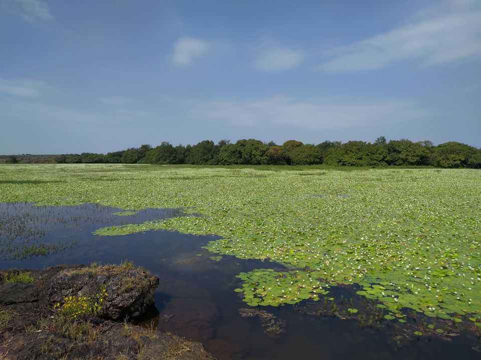 Photo of Weekend escape in Kaas Plateau by Shruti Jain
