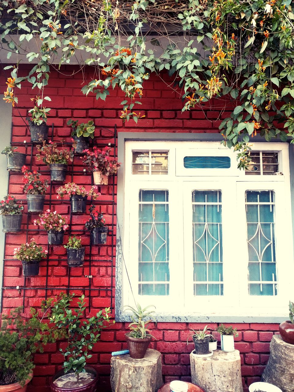 Photo of 8 things to do in Bir Billing by Shruti Jain