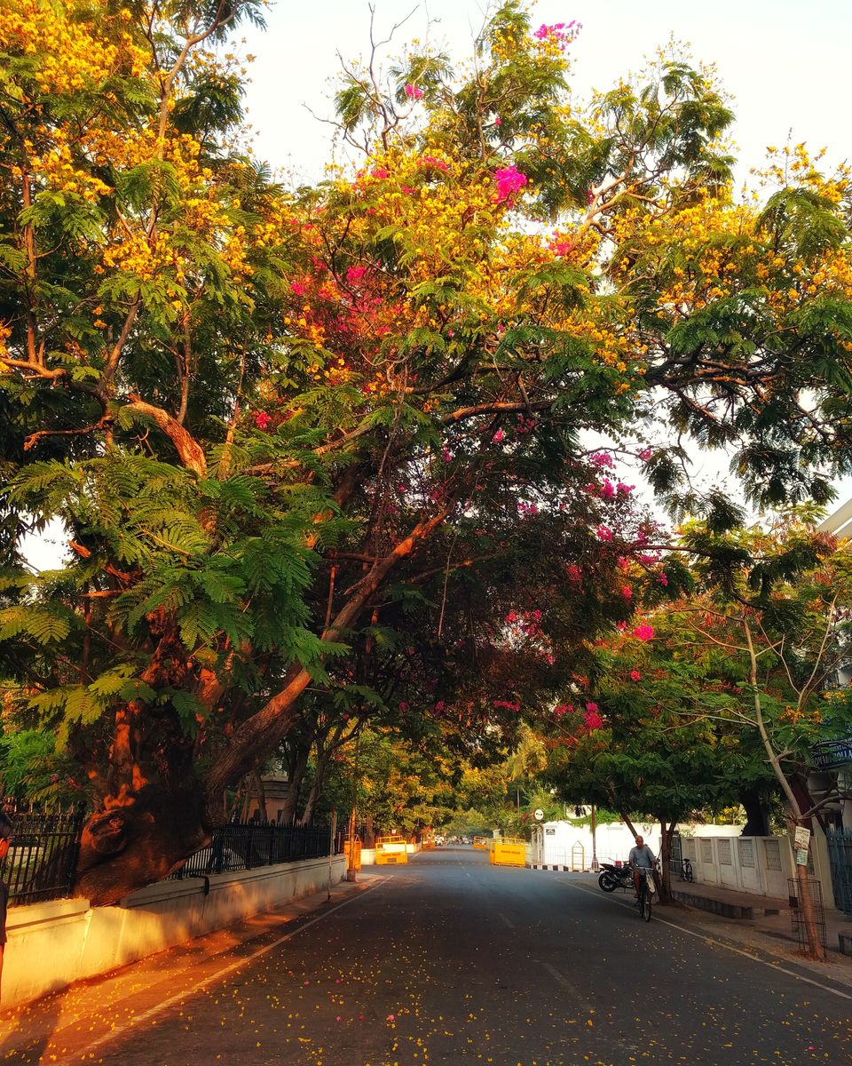 Photo of Things to do in Pondicherry - A north Indian's guide! 28/29 by Shruti Jain
