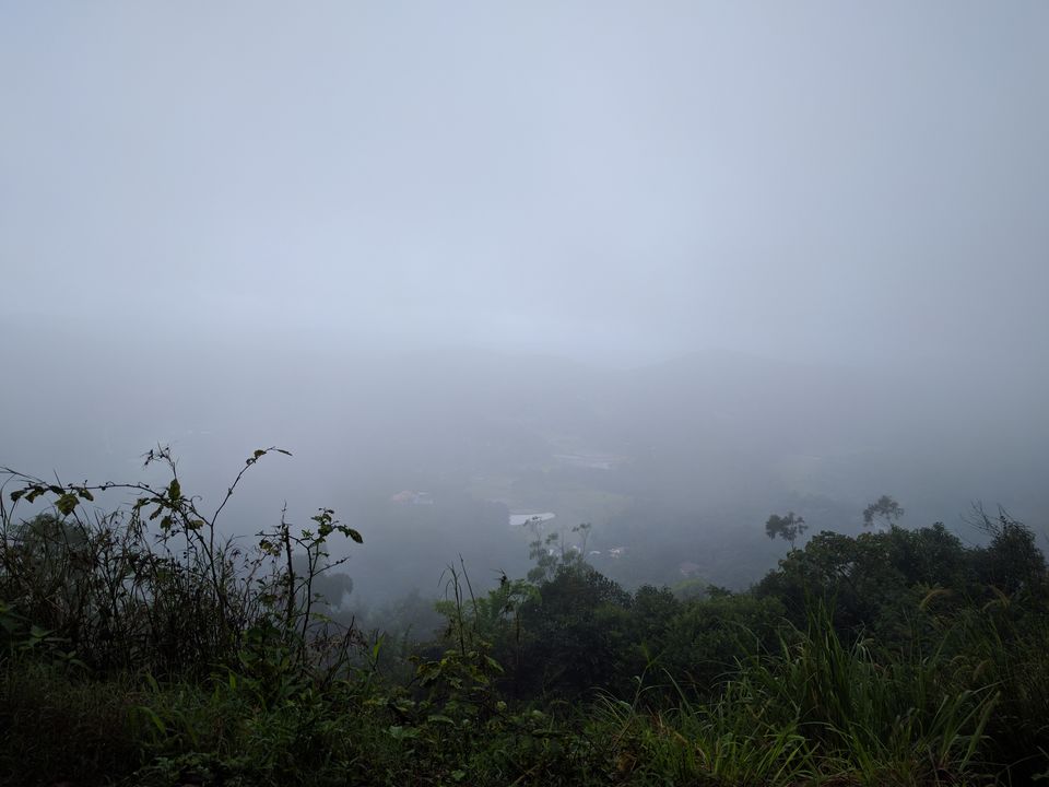Photo of Coorg : An enthralling journey in Monsoon! 6/15 by Shruti Jain