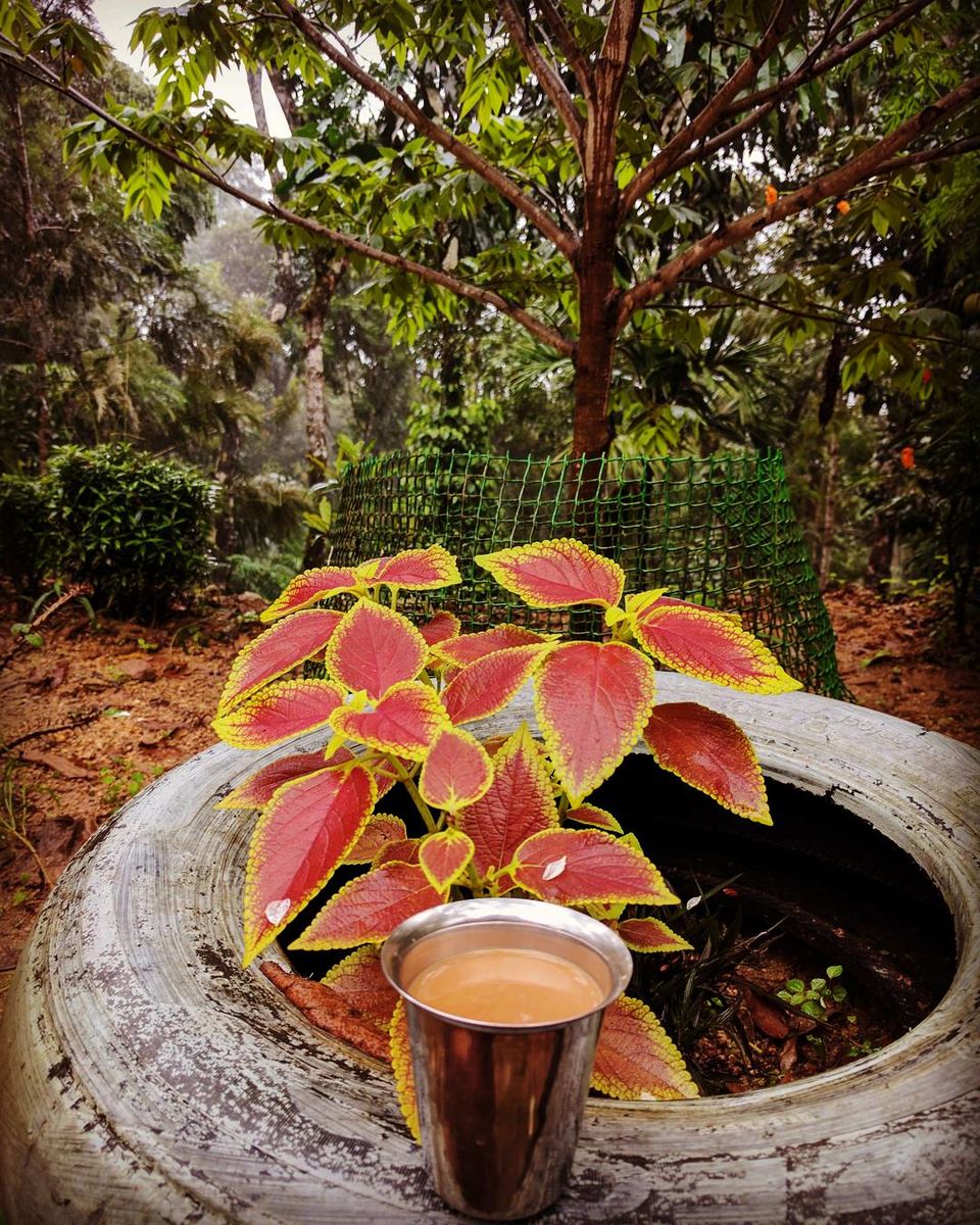 Photo of Coorg : An enthralling journey in Monsoon! 15/15 by Shruti Jain