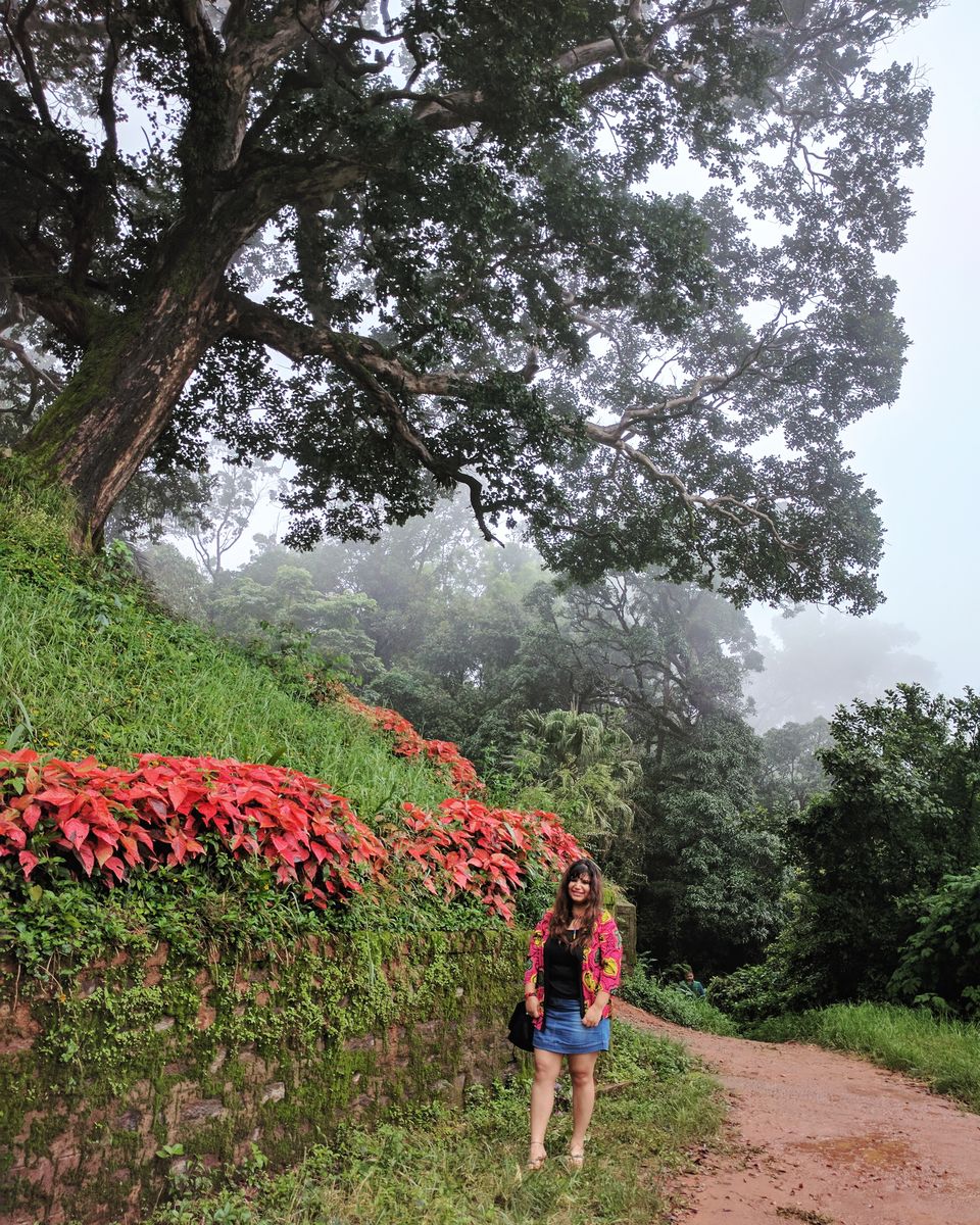 Photo of Coorg : An enthralling journey in Monsoon! 7/15 by Shruti Jain