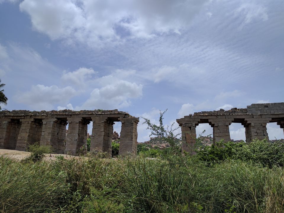 Photo of The Happy & The Hippie Hampi! 1/28 by Shruti Jain