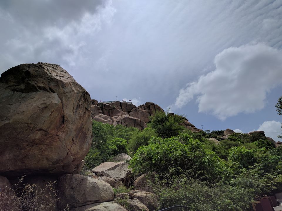 Photo of The Happy & The Hippie Hampi! 2/28 by Shruti Jain